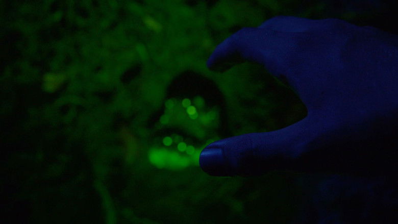 кадр из фильма Tessellations