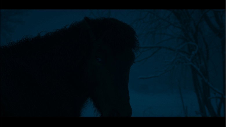 кадр из фильма Kosmos