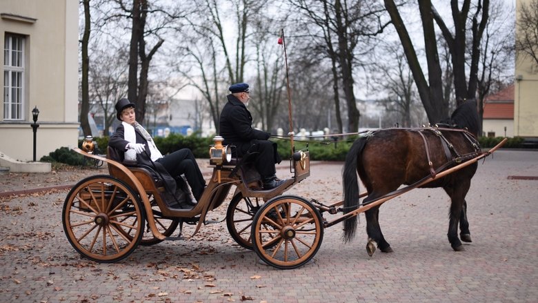 кадр из фильма Powrót birbanta. Rekonstrukcja