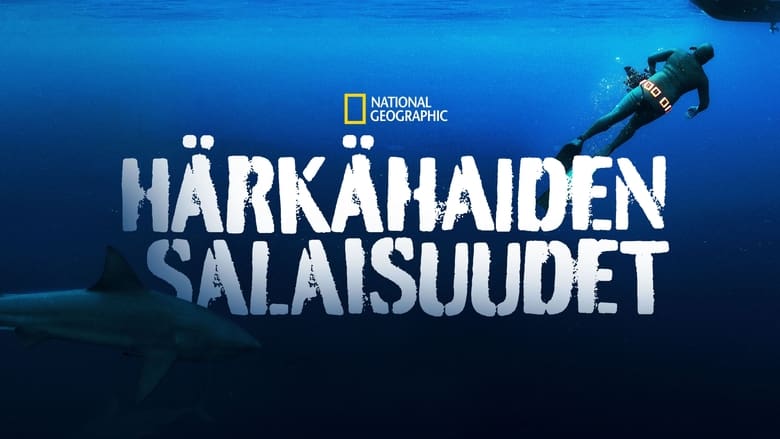 кадр из фильма Тайны бычьей акулы