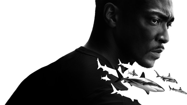 кадр из фильма Акулий пляж с Энтони Маки: Мексиканский залив