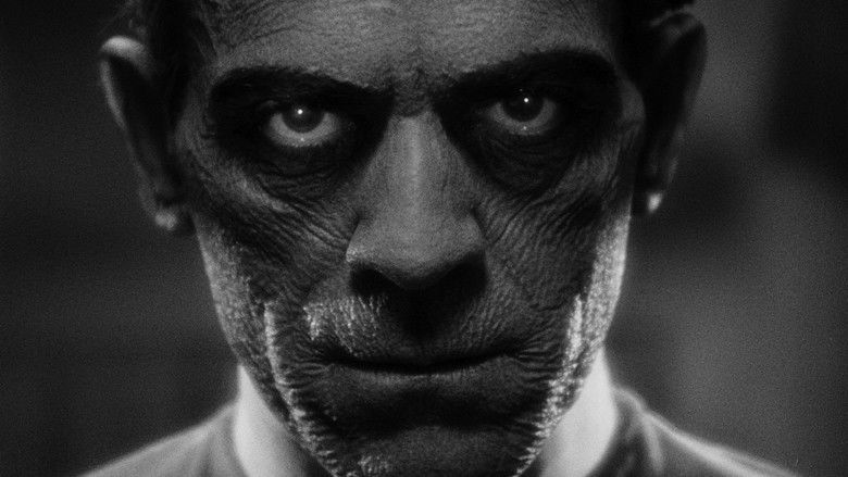 кадр из фильма Мумия