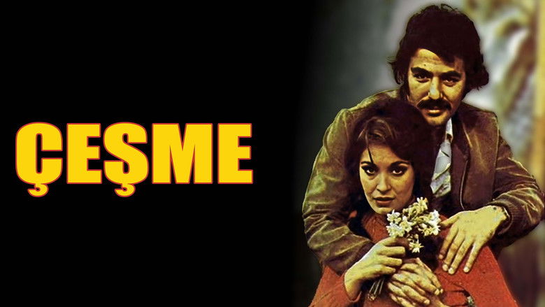 кадр из фильма Çeşme