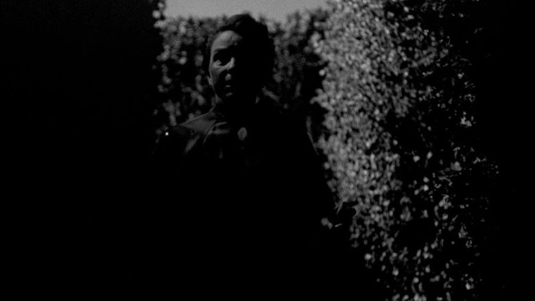 кадр из фильма Лабиринт