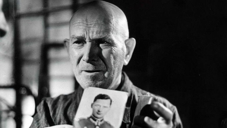 кадр из фильма Szyfry