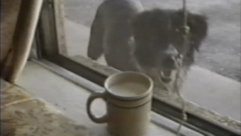 кадр из фильма Weather Diary 1