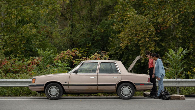 кадр из фильма Красотки в бегах