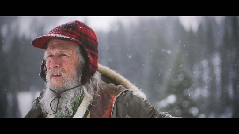 кадр из фильма The Snow Guardian