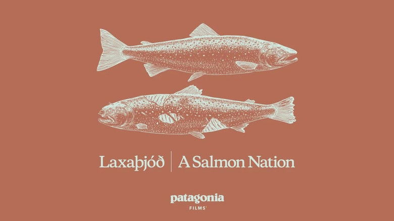 кадр из фильма Laxaþjóð - A Salmon Nation