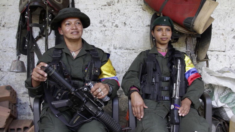 кадр из фильма Provisorum