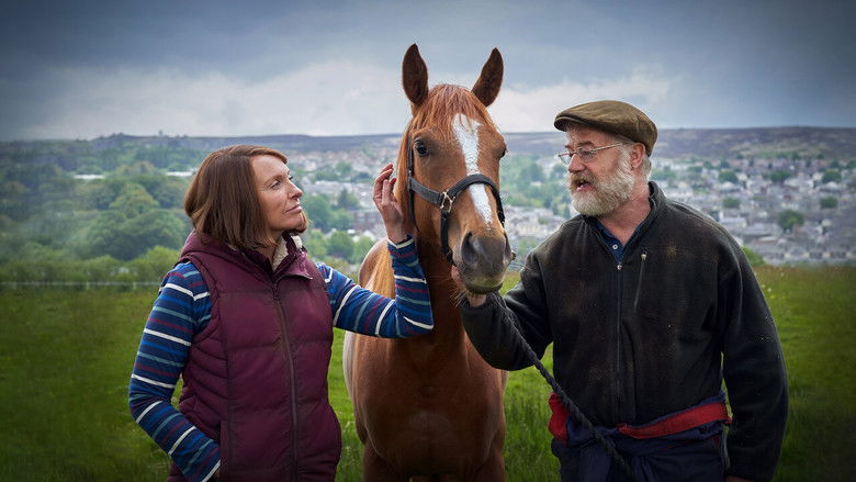 кадр из фильма Лошадь мечты