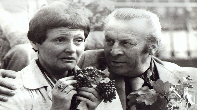 кадр из фильма Bezkresne łąki