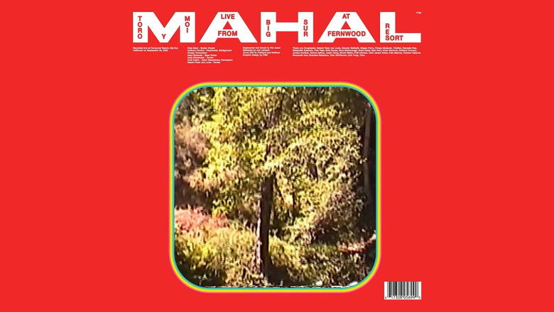 кадр из фильма Toro y Moi: MAHAL (Live from Big Sur)