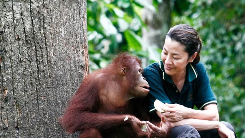 кадр из фильма Among the Great Apes with Michelle Yeoh