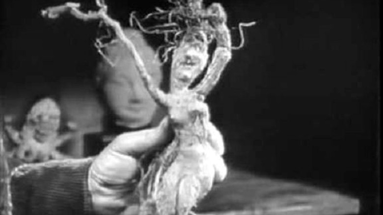 кадр из фильма Альрауне