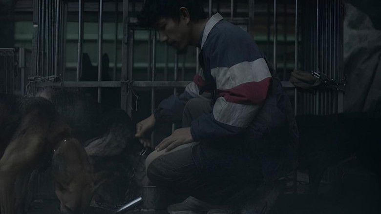 кадр из фильма Дворняга