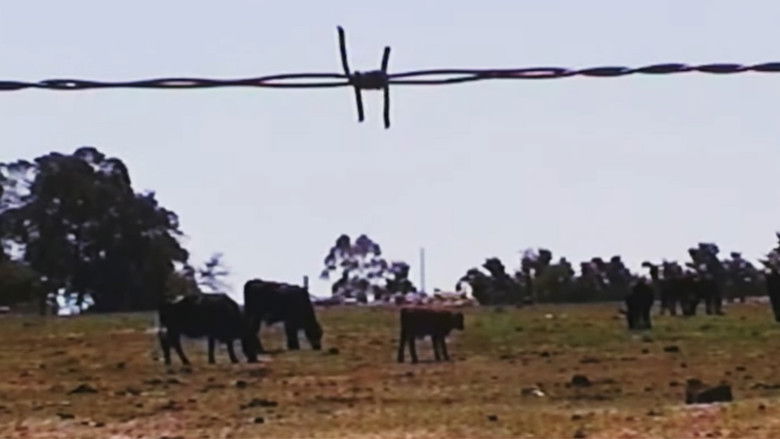 кадр из фильма Nomade