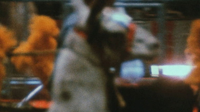 кадр из фильма Notes on the Circus