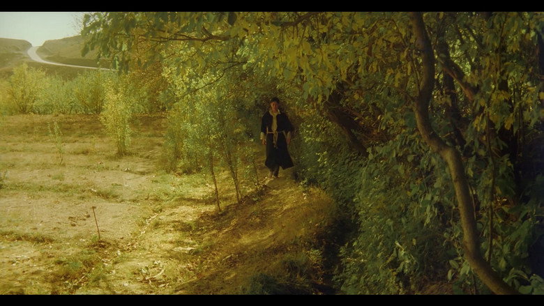 кадр из фильма درخت گلابی