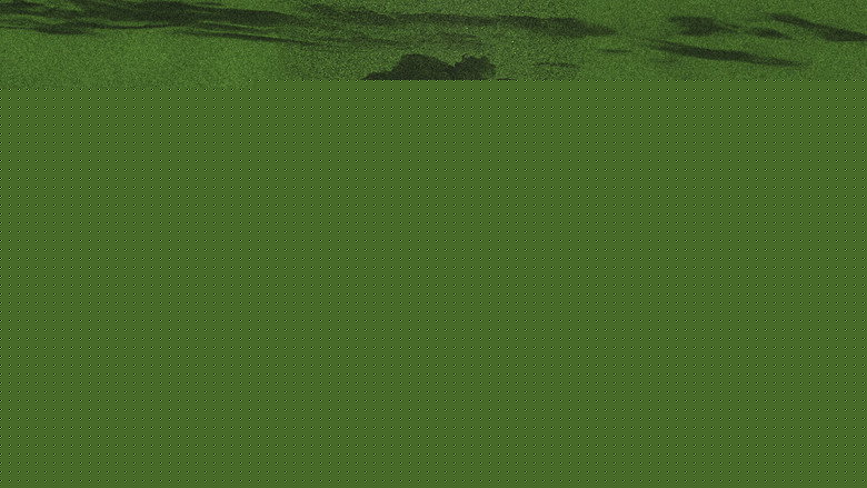 The Prayer of The Rose