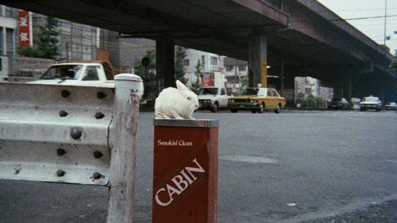 кадр из фильма 女高生偽日記