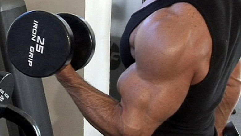 кадр из фильма Legendary Bodies 2