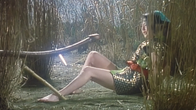 кадр из фильма くノ一忍法帖VI 忍者月影抄