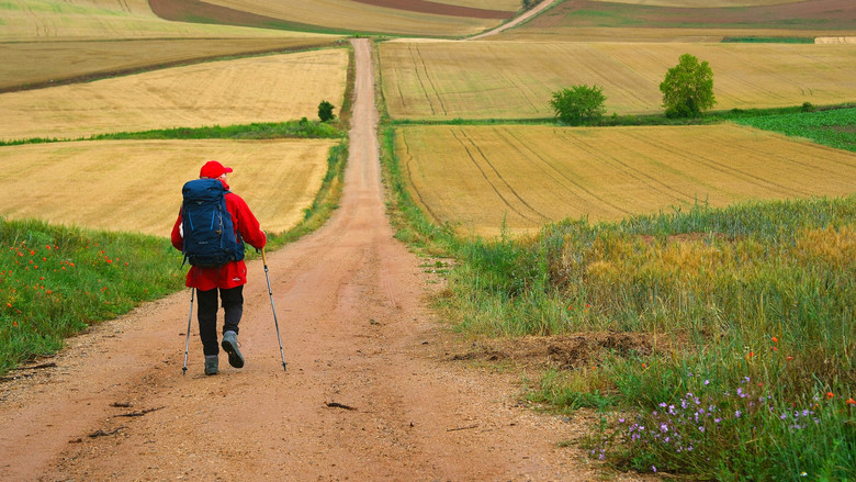 кадр из фильма Путь, мой путь