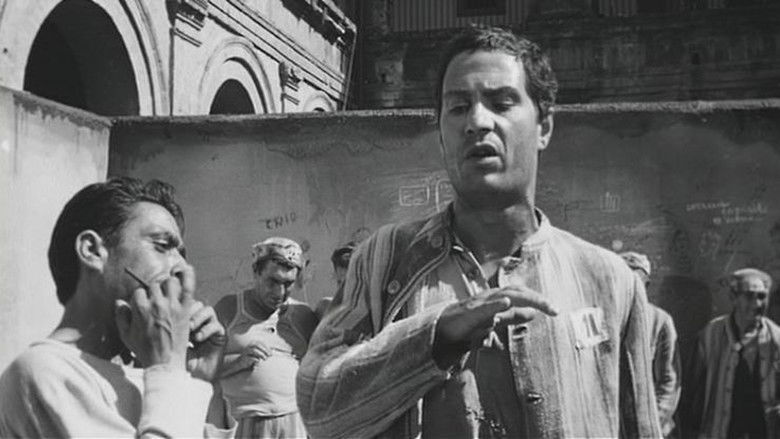 кадр из фильма Верхом на тигре