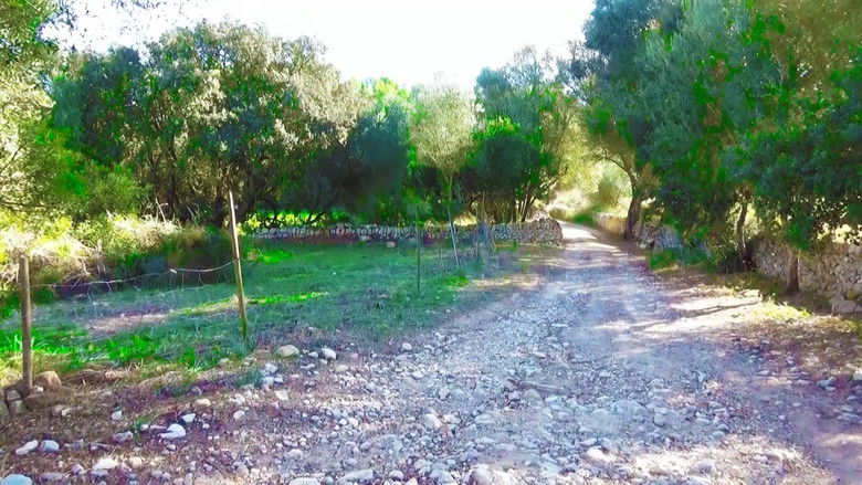 кадр из фильма Es quizás