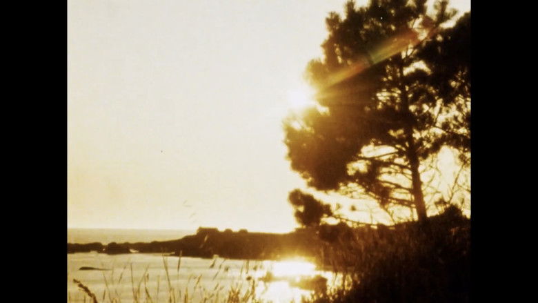 кадр из фильма Matter of Clarity