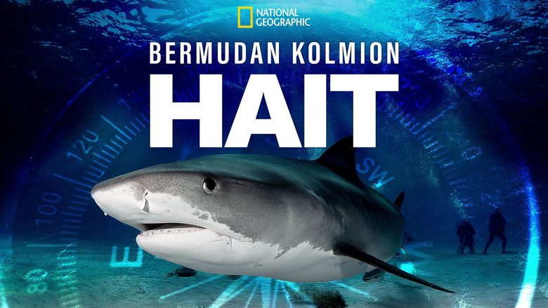 кадр из фильма Sharks of the Bermuda Triangle