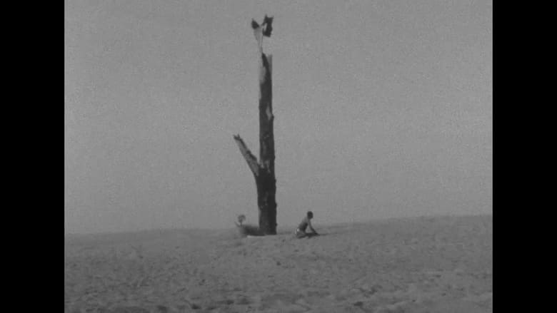 кадр из фильма Sur le dune de la solitude