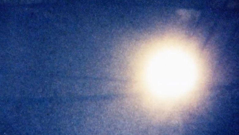 кадр из фильма The Printed Sunlight Film