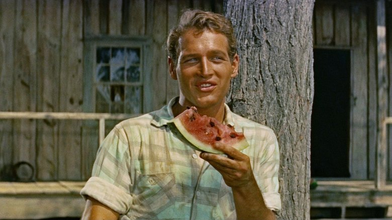 кадр из фильма Долгое жаркое лето