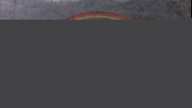 кадр из фильма Потроха девственницы