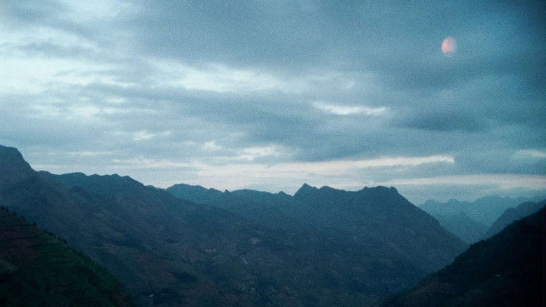 кадр из фильма Nhà Cây