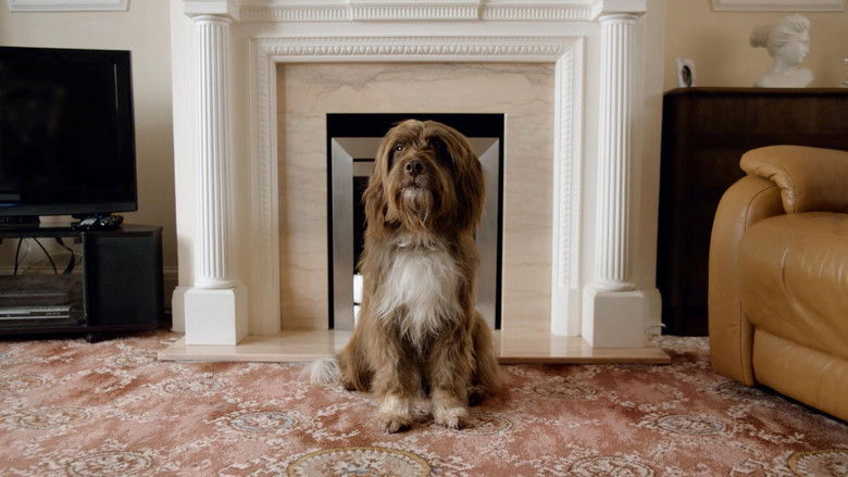 кадр из фильма The Dog with the Woman