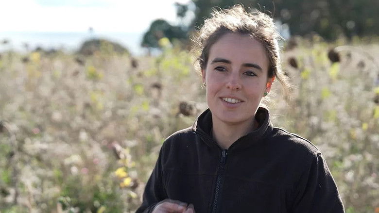 кадр из фильма Rügen - Weiße Felsen, grüne Wälder