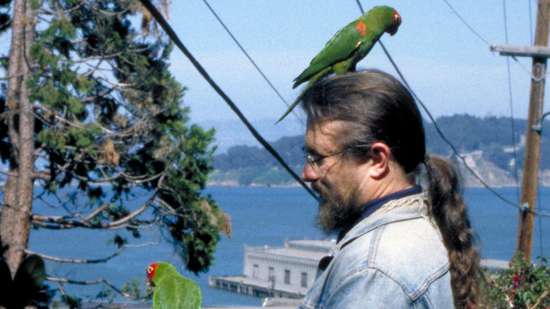 кадр из фильма The Wild Parrots of Telegraph Hill