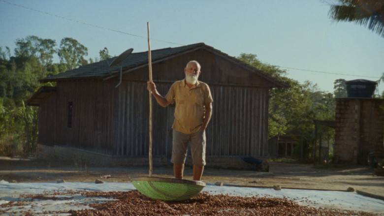 кадр из фильма Now We Live in Paradise