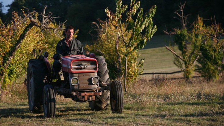 кадр из фильма L'Amour vache