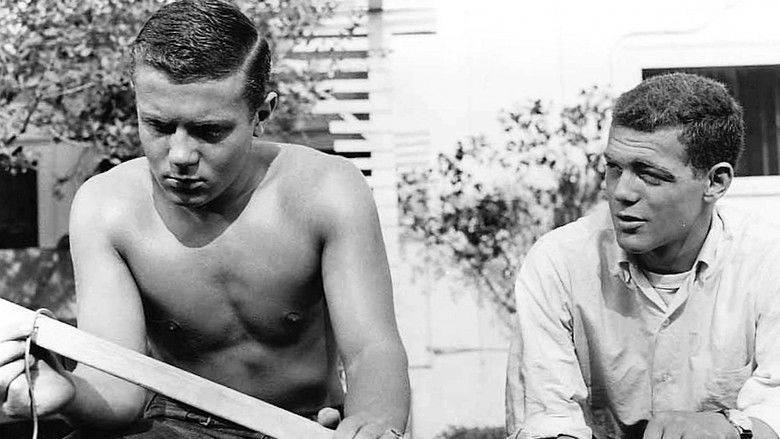 кадр из фильма The Young Stranger