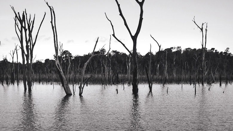 кадр из фильма O Reflexo do Lago