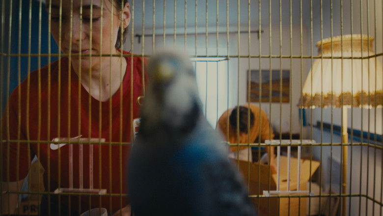 кадр из фильма Rede