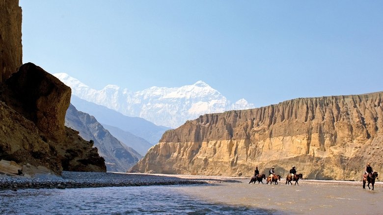 кадр из фильма Mustang: Journey of Transformation