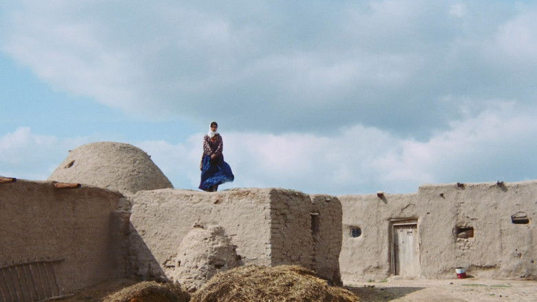 кадр из фильма Дорога