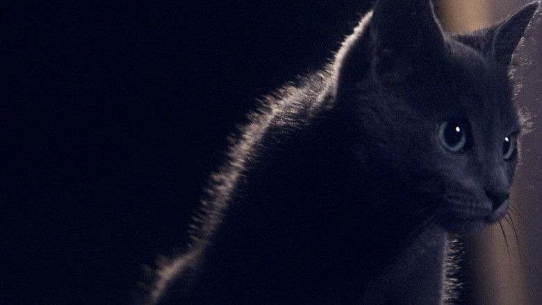 кадр из фильма Somos animales