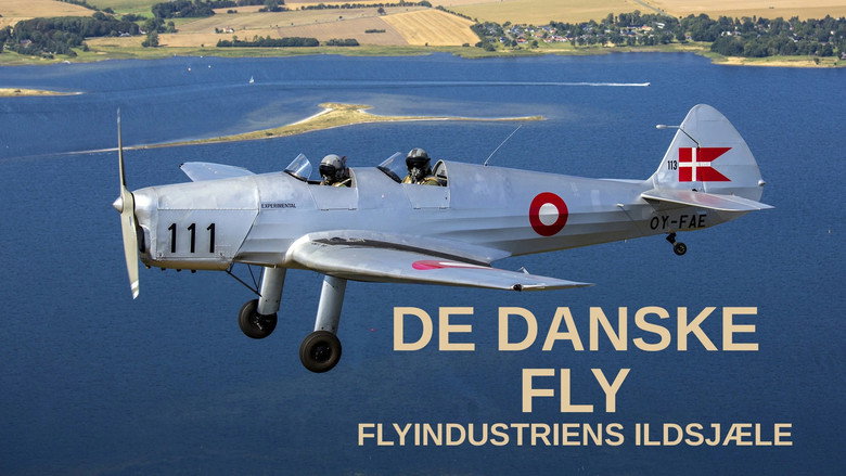кадр из фильма Flyindustriens danske ildsjæle