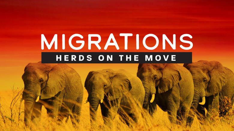 кадр из фильма Migrations: Herds on the Move